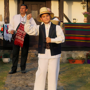 Frunzuliță De Mohor