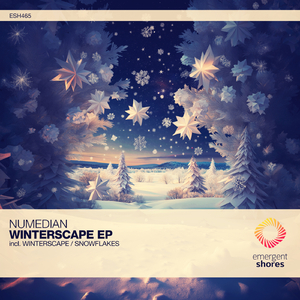 Snowflakes (Extended Mix)