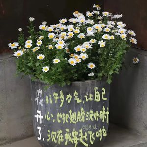 祝我快乐（Cover：汪苏泷）