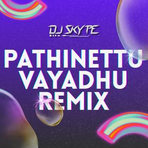 Pathinettu Vayadhu