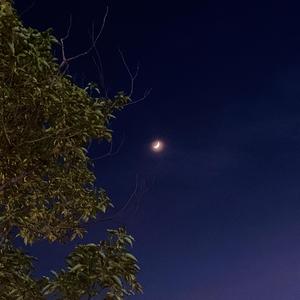 Landing Guy（cover刘昊霖）