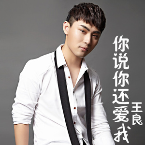 你说你还爱我