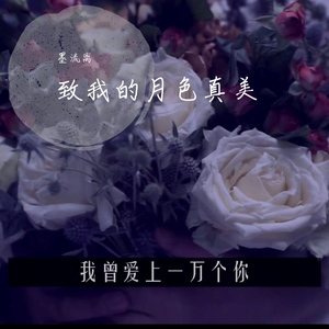 我曾爱上一万个你 伴奏