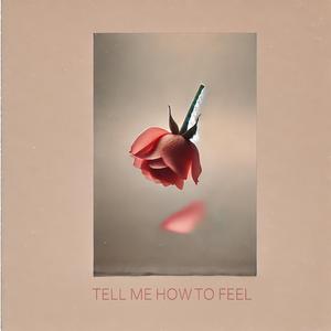 Tell Me How to Feel