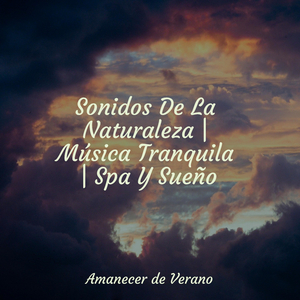 Amanecer Armónico a la Deriva