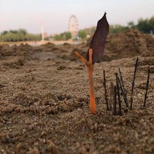 理由(cover-赵紫骅)