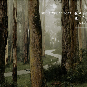 FREE EMO RAP BEAT '林中小径‘’