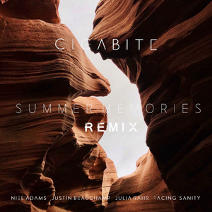 Summer Memories (Remix)