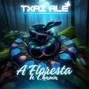 A Floresta te chama