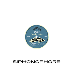 Siphonophore