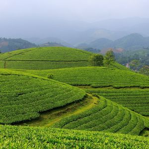 山溪水岸