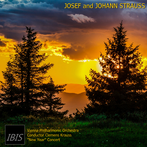 Mein Lebenslauf ist Lieb' und Lust!, Op.263