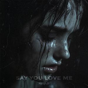 Say You Love Me