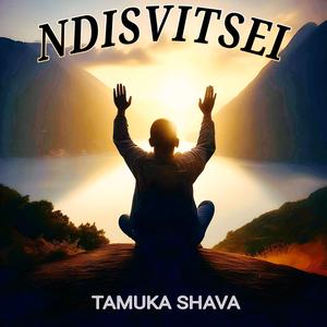 Ndisvitsei