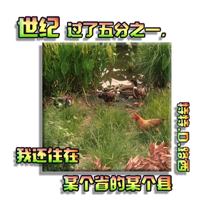 世纪过了五分之一,我还住在某个省的某个县