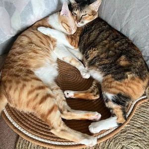 爱情不是这么一回事