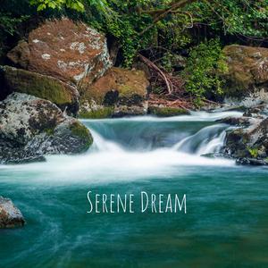 Serene Dream