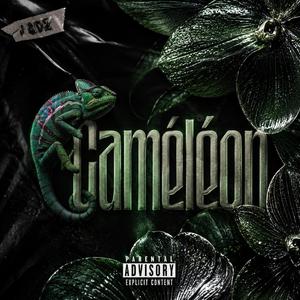 Caméléon