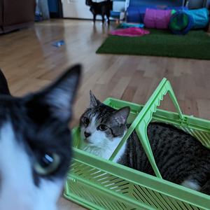 If They Wanted To, They Would; But They Didn't, So They Don't (with Jeremy of Found Found Footage) (Remix)