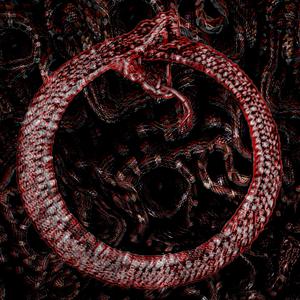 snakepit. (feat. meda fulgida)