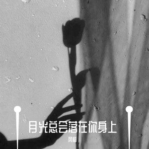 月光总会落在你身上