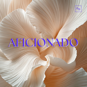 Aficionado (Vellichor Remix)