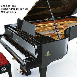 Bird Set Free (Piano Karaoke) [By Ear]