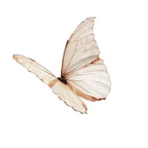 Her şey güzel olacak