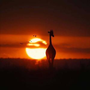 Talking To The Moon (Afro Soul)