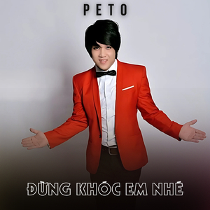 Ngày Xuân Long Phụng Sum Vầy (Remix)