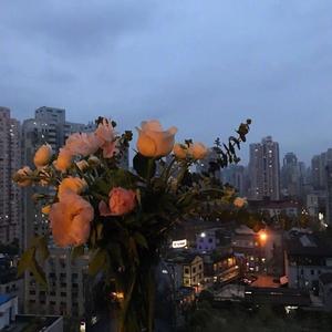 态活（prod by No Birthday）