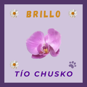 BRILLO
