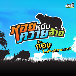 หอยหนีบควายอ้าย