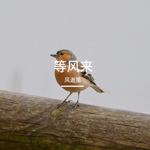 季风线