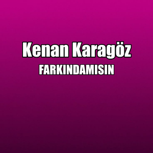 FARKINDAMISIN