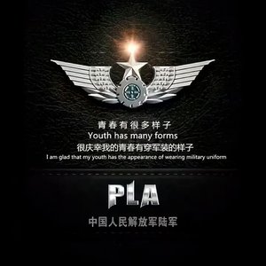 彤彤音乐2