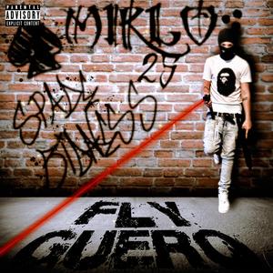 Fly Guero