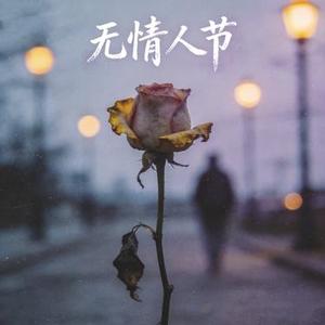 无情人节  0.9X