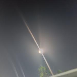 葬梦