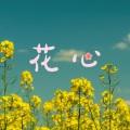 花心 (DJ版)