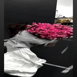Rosy 77