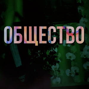 Общество