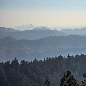 WMF (feat. Sous Rature)