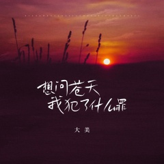 想问苍天我犯了什么罪