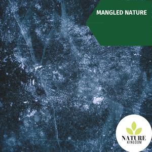 Cinematic Water Flowing