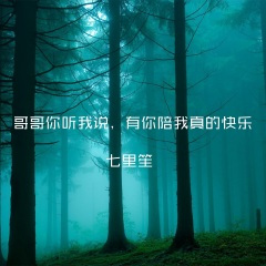 说过不再想念不再回忆从前眼泪流了好几遍