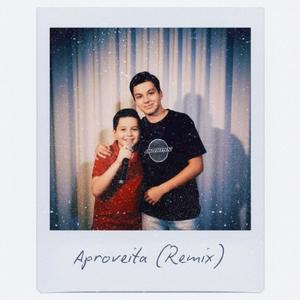 APROVEITA (Remix)
