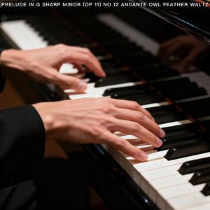 Fantasy in B Minor (Lantern Snow) [Op 28]