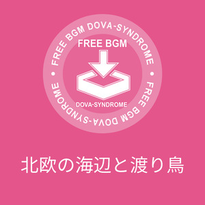 北欧の海辺と渡り鳥