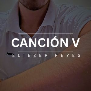 Canción V